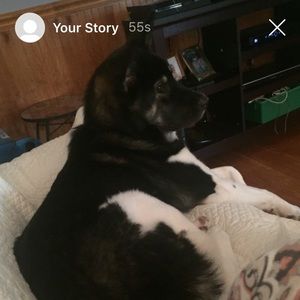 Meet your Posher, Beth